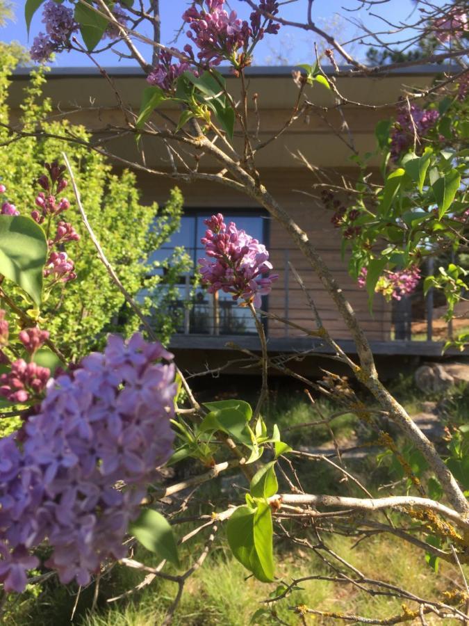 Gite La Cerise Qui Rit La Cresse Екстериор снимка
