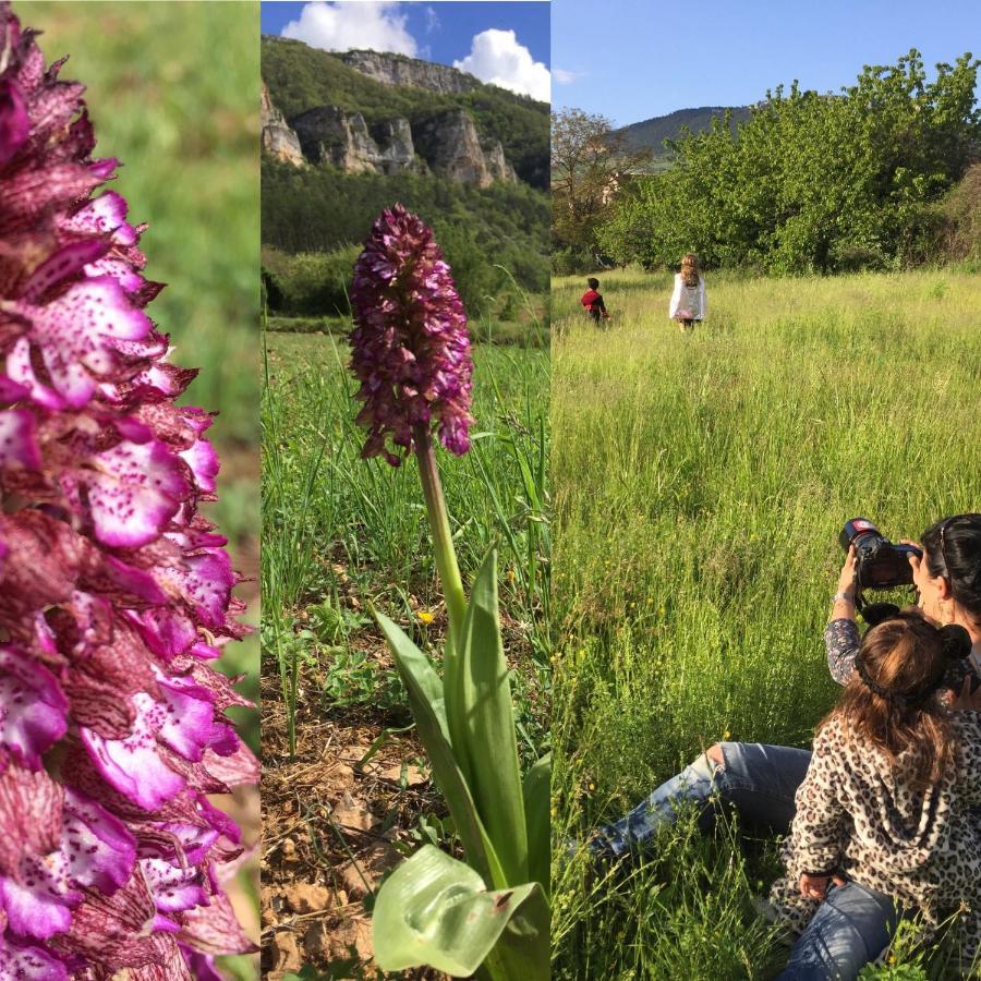 Gite La Cerise Qui Rit Villa La Cresse Екстериор снимка